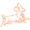 Springer Spaniel in orange