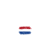 Netherlands Flag Brush Stroke