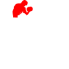 no pain no gain