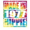 Anniversaire hippie 1977