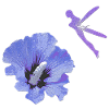 bezaubernde elfen oberteile, Hibiskusblüte
