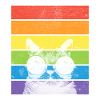 Pride Cat | Regenbogen | Katzenliebhaber
