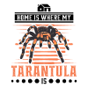 Tarantula Home Spider Tarantula