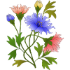 Fleur