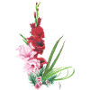 Gladioli