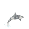 Épaulard épaulard Orka