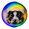 Rainbow Dog Australian Shepherd