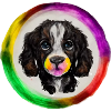 Rainbow Dog Cocker Spaniel