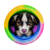 Rainbow Dog Australian Shepherd
