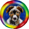 Rainbow Dog Jack Russell Terrier