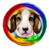 Rainbow Dog Basset Hound
