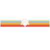 Retro wheel cruise captain