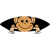 Baby monkey