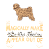 Wheaten Terrier Dog