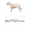 Irish Wolfhound Dog