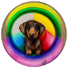 Rainbow Dog Dachshund