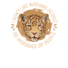 Guépard