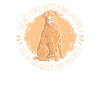 Labrador Dog