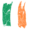 Drapeau de l’Irlande
