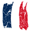France Flag