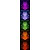 Nightflower Monkeyface