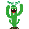 kaktus touch me