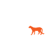 Petit héros - Mignon animal guépard