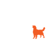 Little Hero - Chien mignon