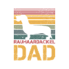 Rough-haired dachshund Dad