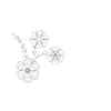 flowers sketch