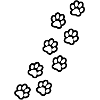 Paws of dog and cat
