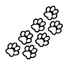 Paws of dog and cat