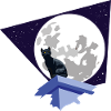 Black cat under the moon
