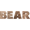 BEAR Gaybear
