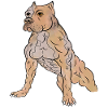 Gespierde Hond - American Staffordshire Terrier