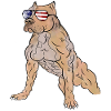Muscular American Staffordshire Terrier