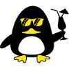 Beach Duck
