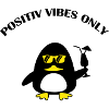 Beach Duck