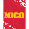 Style and Artwork Nico