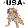 American Staffordshire Terrier