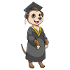 Meerkat Student Diploma University