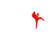 boxeur