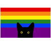 Peeking Cat on Rainbow Flag