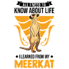 Erdmännchen Meerkat