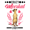 Crazy Meerkat lady Erdmännchen