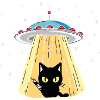 UFO Katze mit Laserblick