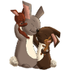 Rabbit family
