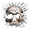 Kanji skull