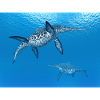 Ichthyosaurier Shonisaurus