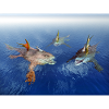 Poissons monstrueux en pleine mer
